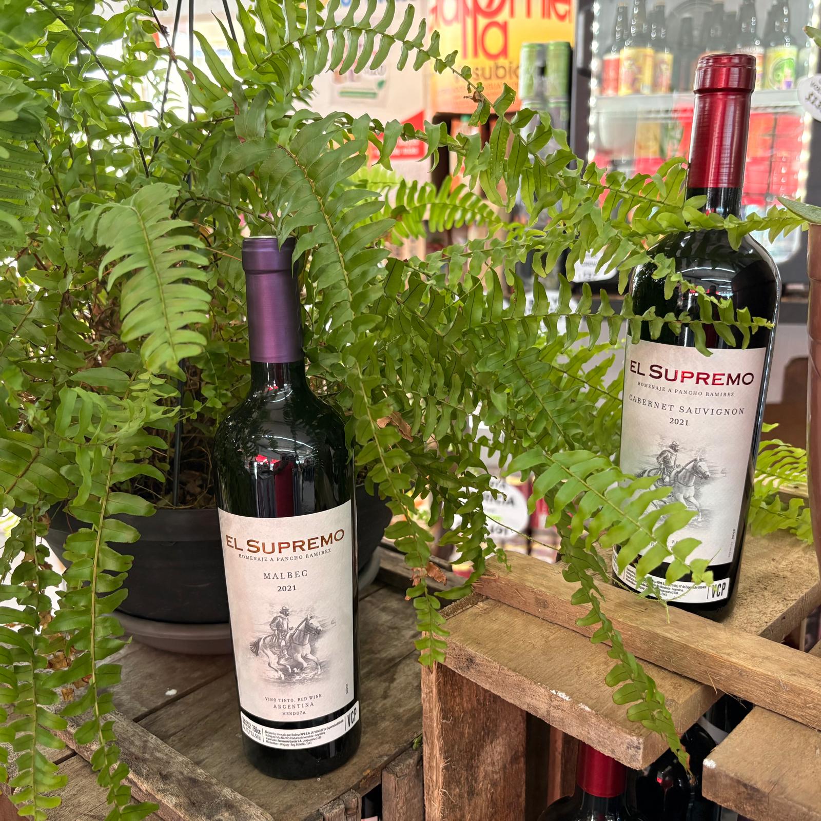 Exhibición de vinos en Súper Brandzen